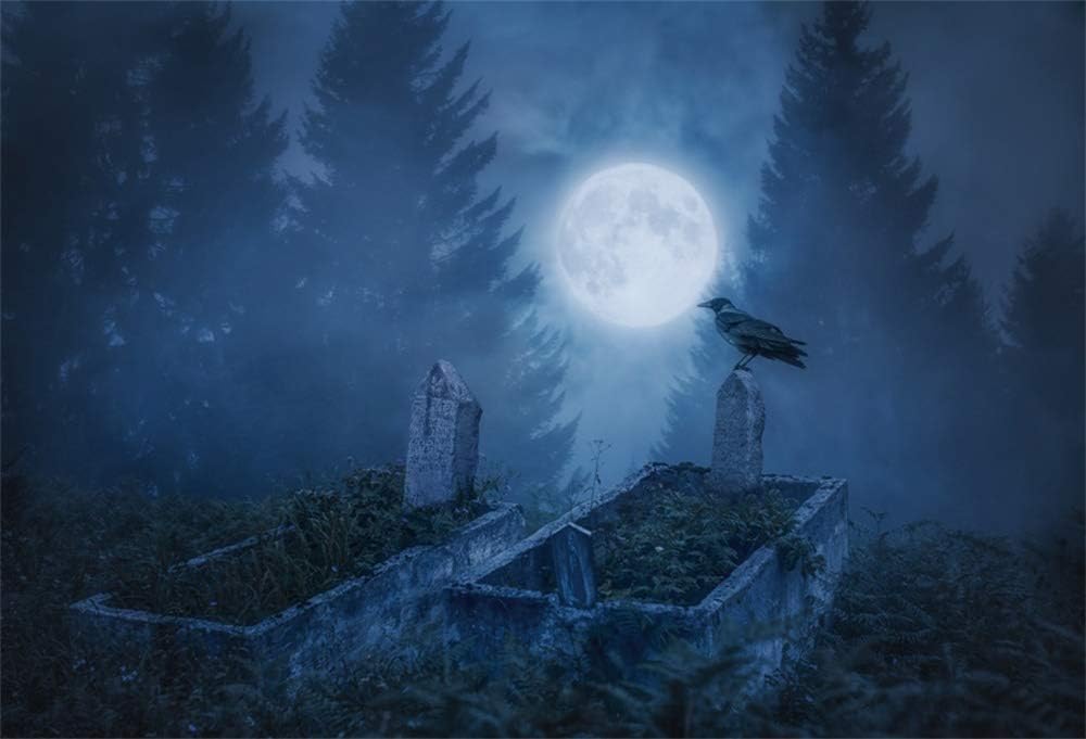 Amazon Com Aofoto 9x6ft Scary Full Moon Night Cemetery Backdrop Spooky Forest Scary Halloween Video Props Misty Graveyard Trees Crow Grave Coffin Pit Background For Photography Photo Studio Prop Vinyl Camera