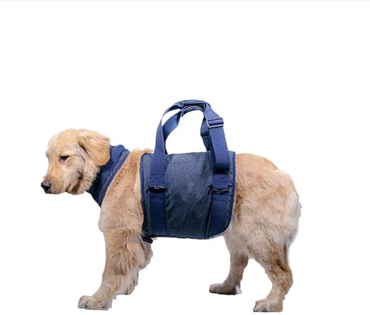 dog lifting harness for stairs