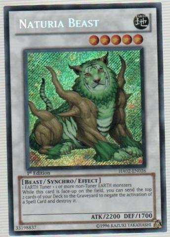 Yu-Gi-Oh! - Naturia Beast (HA02-EN026) - Hidden Arsenal 2 - 1st Edition - Secret Rare