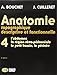 Anatomie topographique, descriptive et fonctionnelle, tome 4. L'abdomen, la région rétro-périton by