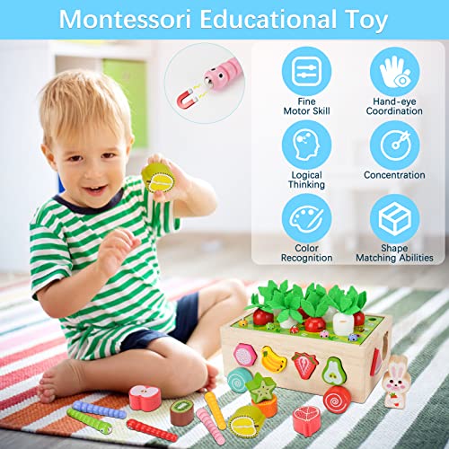 Wooden Montessori Toys for 2+ Year Old Baby Girls Boys Gift