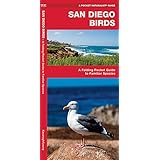 Local Birds Of San Diego County Inc Local Birds