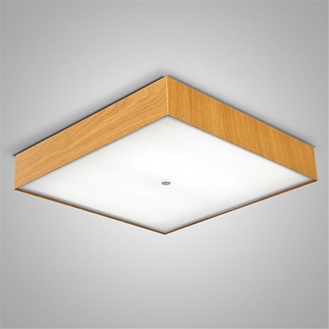 Modern Led Pendant Flush Mount Ceiling Fixtures Light Simple Iron