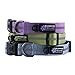 Max and Neo™ EARTH Nylon Buckle Reflective Dog Collar - We Donate a Collar to a Dog Rescue for Every Collar Sold (MEDIUM, LAVENDER PURPLE)