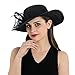 Dantiya Womens Organza Wide Brim Floral Feather Ribbon Kentucky Derby Church Dress Sun Hat, Black Free