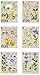 Donna Dewberry One Stroke Reusable Reversible Painting Teaching Guides Paint Worksheet Wildflowers  Flowers Pack Supplies Set 3 Double Sided Plastic Coated Practice Sheets