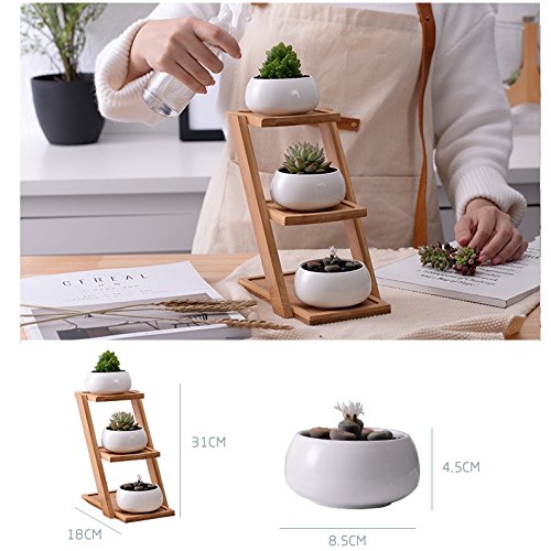 Youfui White Ceramic Succulent Plant Pot, Planter for Succulent Plants, Small Cactus and Herbs with Bamboo Tray (Round White with Stand)