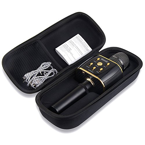 Microphone app pc