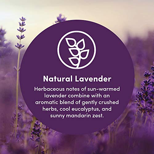 Clean Revolution Foaming Hand Soap Gentle, Moisturizing & Eco