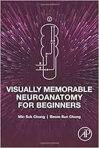 Visually Memorable Neuroanatomy for Beginners: 9780128199015: Medicine