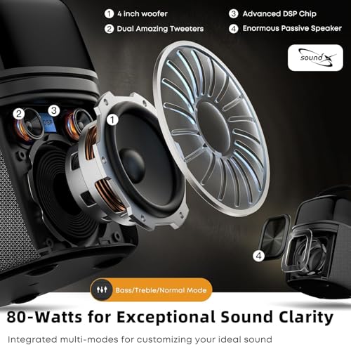 Karaoke Machine with 2 Wireless Microphones, 60W Portable Bluetooth Speaker with 360° Lights, Loud Bass, 12H Battery, Supports Bluetooth/USB/Aux/TV Connection, Ideal for Home Party&Outdoor Use