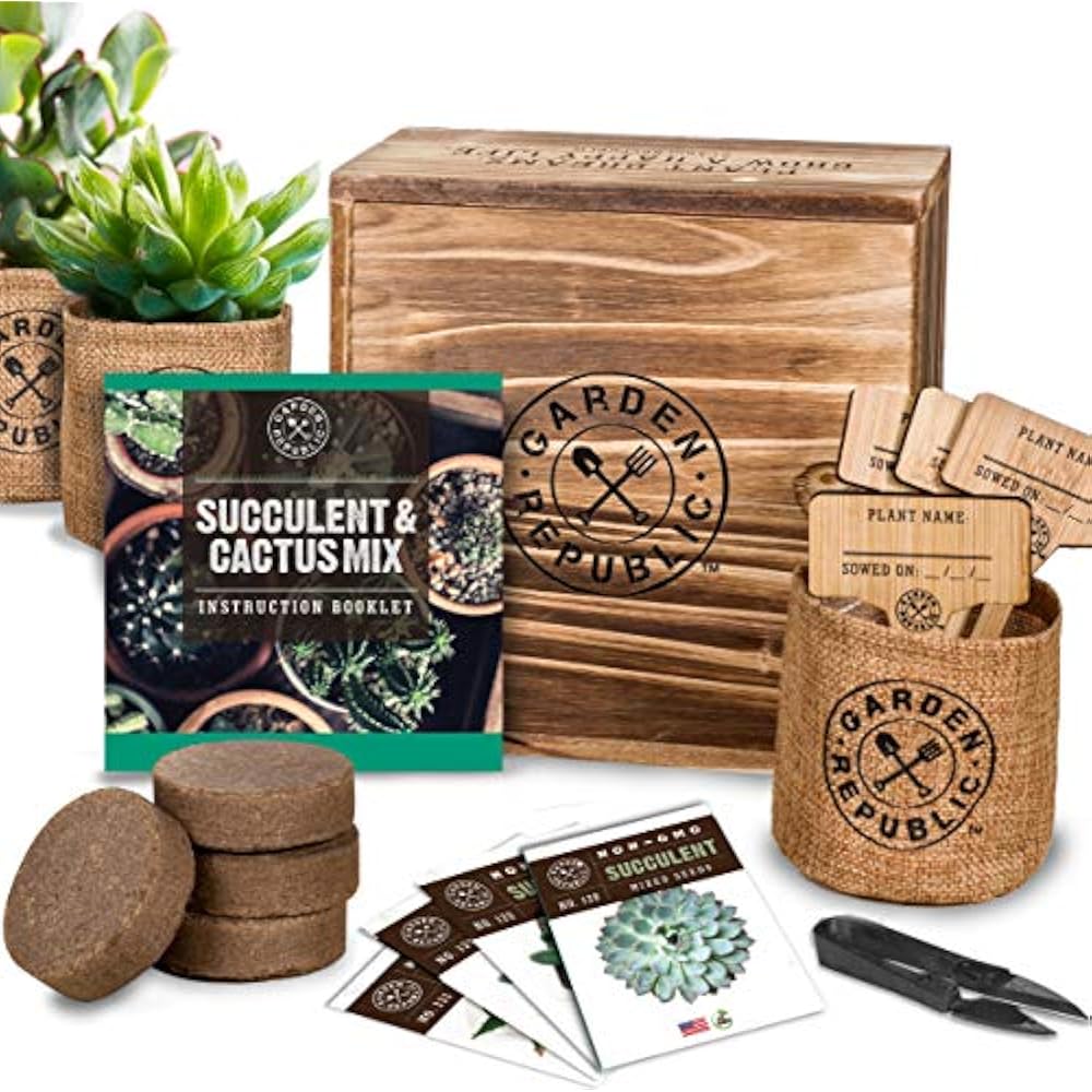 Cactus Succulent Seed Starter Kit Indoor Garden Grow