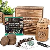 Cactus Succulent Seed Starter Kit - Indoor Garden Grow Kits, Seeds for Planting Mini Cactus Succulent Plants, Plant Markers, Soil, Pots, Wood Box - Gardening Gifts, Terrarium, Cacti Succulents Decor