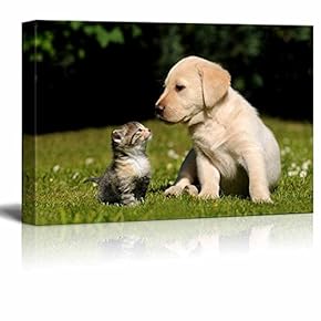 Dog and Cat Wall Decor