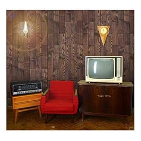Vertical Rich Brown Vintage and Retro Wood Textured Paneling - Wall Mural, Removable Wallpaper, Home Decor - 66x96 inches