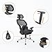 Ergonomic Office Chair Mesh Computer Desk Chair High Back Swivel Task Executive Chairs with Lumbar Support Adjustable Backrest Headrest Armrest Seat Height for Home Office Conference, Black TIKI-14