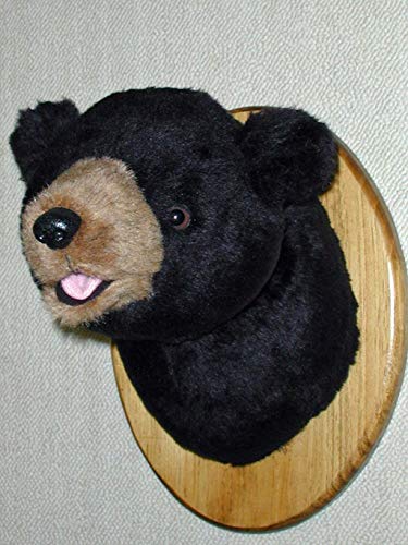 stuffed bear head mount