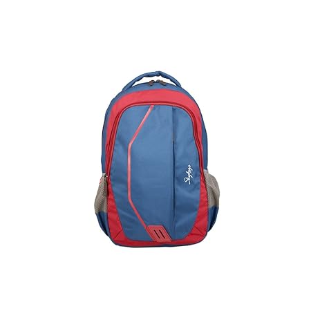 skybags 26 l backpack