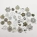iloveDIYbeads 100g Craft Supplies Mixed Flower Beads Charms Pendants for Crafting, Jewelry Findings Making Accessory For DIY Necklace Bracelet (Flower charms M93)