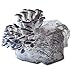MICHIGAN MUSHROOM Grow Your Own Mushrooms Kit - Colonized Blue Oyster Mushrooms - Indoor Grow Kit - Up to 4lbs