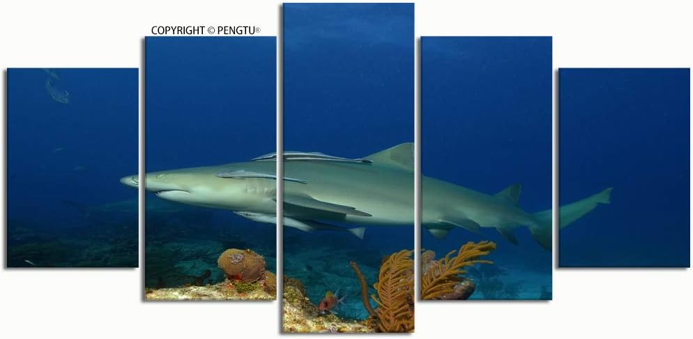 PENGTU Paintings Modern Canvas Painting Wall Art Pictures 5 Pieces Lemon Shark negaprion brevirostris Wall Decor HD Printed Posters Frame