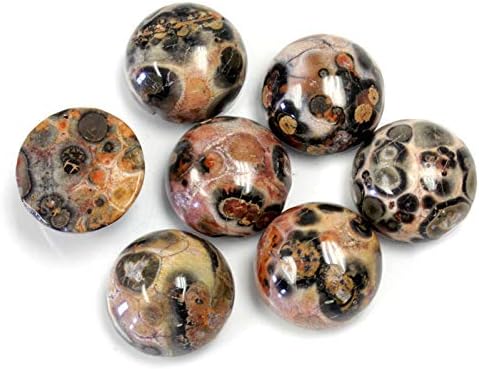 11mm Round Genuine Leopard Skin Agate Calibrated Cabochon 12 Piece Lot Flat Back DIY Jewelry Making