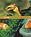 Student Interactive Workbook for Starr/Taggart's Biology: The Unity and Diversity of Life, 12th
