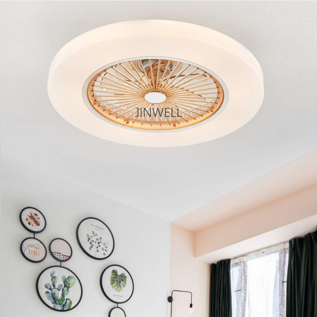 Jinwell Fan Ceiling Fan Led Ceiling Light Creative Modern With