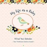 My Life as a Baby: A First-Year Calendar (Birds) by
