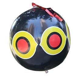 keesoon -Bird repelling Balloon，Woodpecker