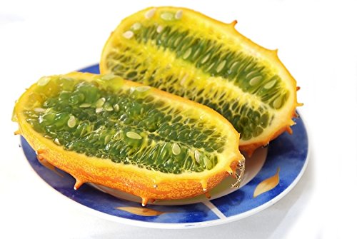 Kiwano, Horned Melon seeds - Cucumis metuliferus