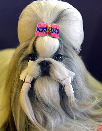 image for YOY 24PCS/12 Pairs Adorable Grosgrain Ribbon Pet Dog Hair Bows with Ru