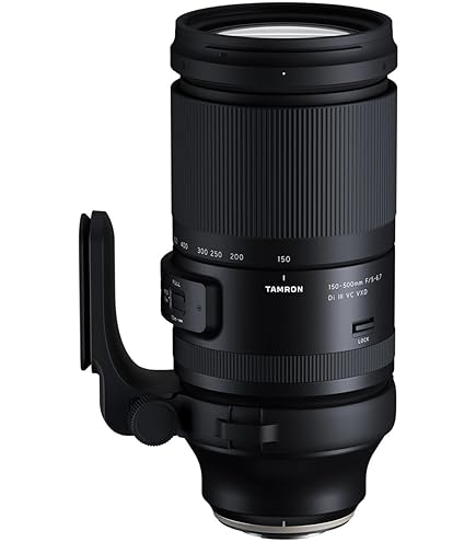 Amazon.com : 100-400mm F 5-6.3 DG DN OS for X Mount