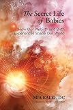 The Secret Life of Babies: How Our Prebirth and Birth Experiences Shape Our World by Mia Kalef, Andrew Feldmar