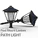 Solar Lights 2 Pack
