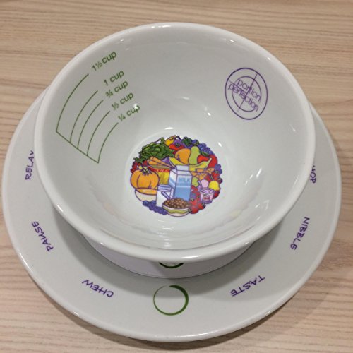 2 in 1 PORCELAIN Portion Perfection Bariatric Surgery Bowl and Plate