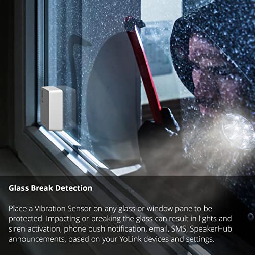 YoLink LoRa Smart Vibration Sensor & Hub Starter Kit Hub & Smart Shock, Glass Break, Tamper