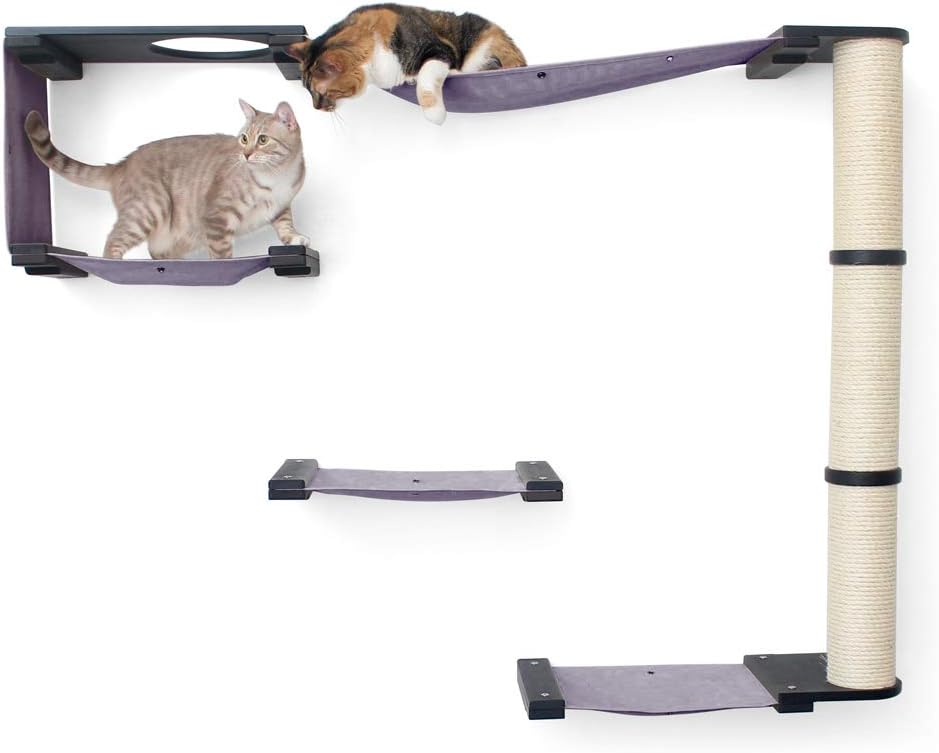 CatastrophiCreations Climb Set for Cats Multiple-Level Wall Mounted Scratch, Hammock Lounge, Play & Climbing Activity Center Furniture Cat Tree Shelves, Onyx/Charcoal Gray, One Size (CLT11ONCH)