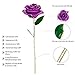 K_LUCKYI Dipped 24K Gold Rose with Gift Box is Unique Gift for Valentine's Day Mother's Day Christmas's Day Lover's Birthday Anniversary gifts With stand (Purple)