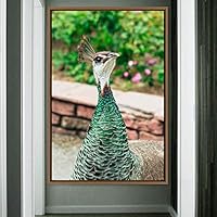 Framed Canvas Wall Art Single Bird Birds Expressive Farmhouse/Country Multicolor Photography Portrait Single - 16x24 inches