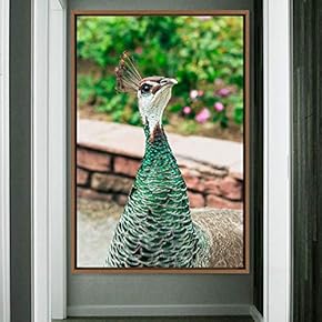 signwin Framed Canvas Wall Art Single Bird Birds...