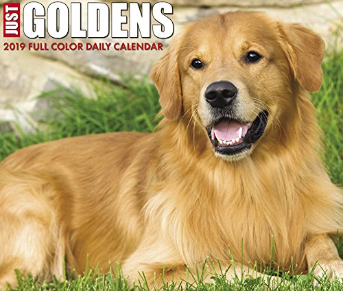 Just Goldens 2019 Box Calendar (Dog Breed Calendar)