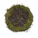 Emlyn Easter Artificial One Faux Natural Moss,Rattan and Twig Bird's Nest for Arts and Crafts