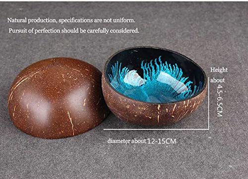 Emousport Coconut Shell Key, Candy Bowl Table Key Storage Section Coconut Bowl Ink Creative Ornament Creative Storage Bowl (Blue)
