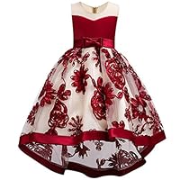 WEONEDREAM Flower Dresses for Teenage Girls Birthday Party Casual Holiday Prom Princess Ball Gowns Size of Age of 8-9 Years Old Teen Fashion Beauty (Red 140)