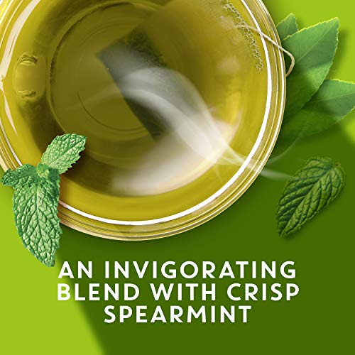 TAZO Zen Green Fresh Brewed Iced Tea Unsweetened Non GMO, 1 gallon, Pack of 24 Pricepulse