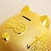 Mose Cafolo Gold Piggy Bank ~ We Wish You Wealth and Success Saving Box Piggy Bank Coin Bank for Home Decor, Holiday and Birthday Gift