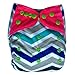 EcoAble Baby Charcoal Bamboo All-In-One AIO Cloth Diaper w/ Pocket, Size 10-35Lb (Chevron 2, Minky)