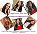 Beauty Forever Virgin Brazilian Hair Deep Curly Wave Bundles with 13x4 Ear to Ear Lace Frontal Closure 100% Unprocessed Human Hair Extensions(14 16 18+12 frontal)