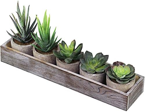 Supla Set Of 5 Mini Fake Succulent Cactus Aloe Potted Plant